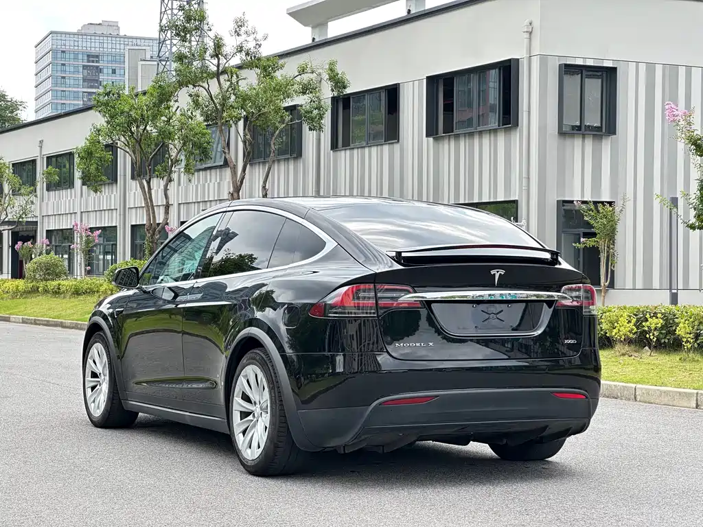 Tesla Model X — миниатюра 13