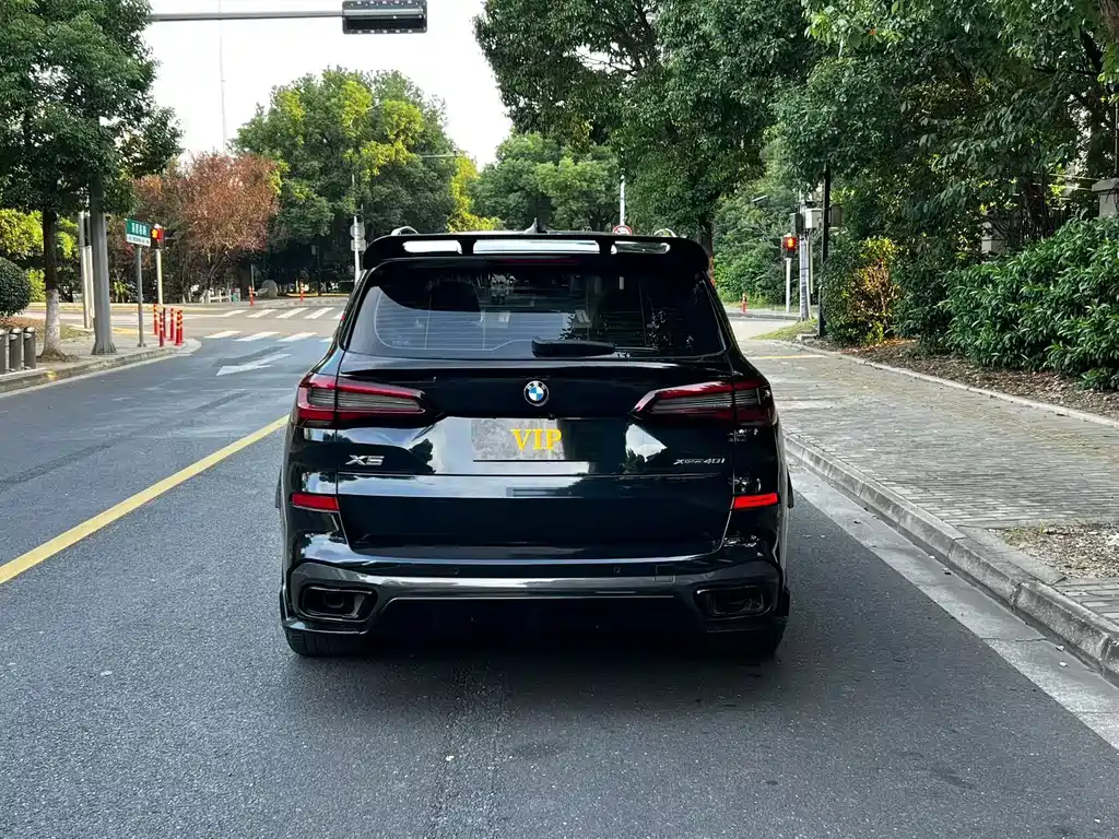 BMW X5 (Import) — миниатюра 8