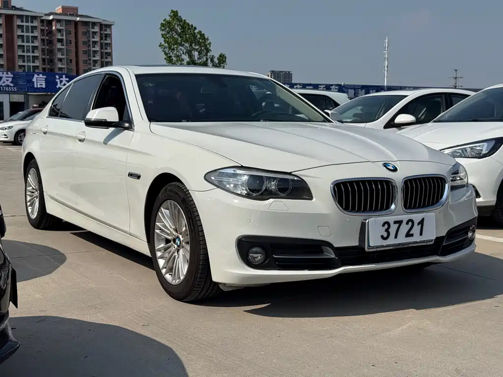 BMW 5 Series 5 2014 525Li Lead