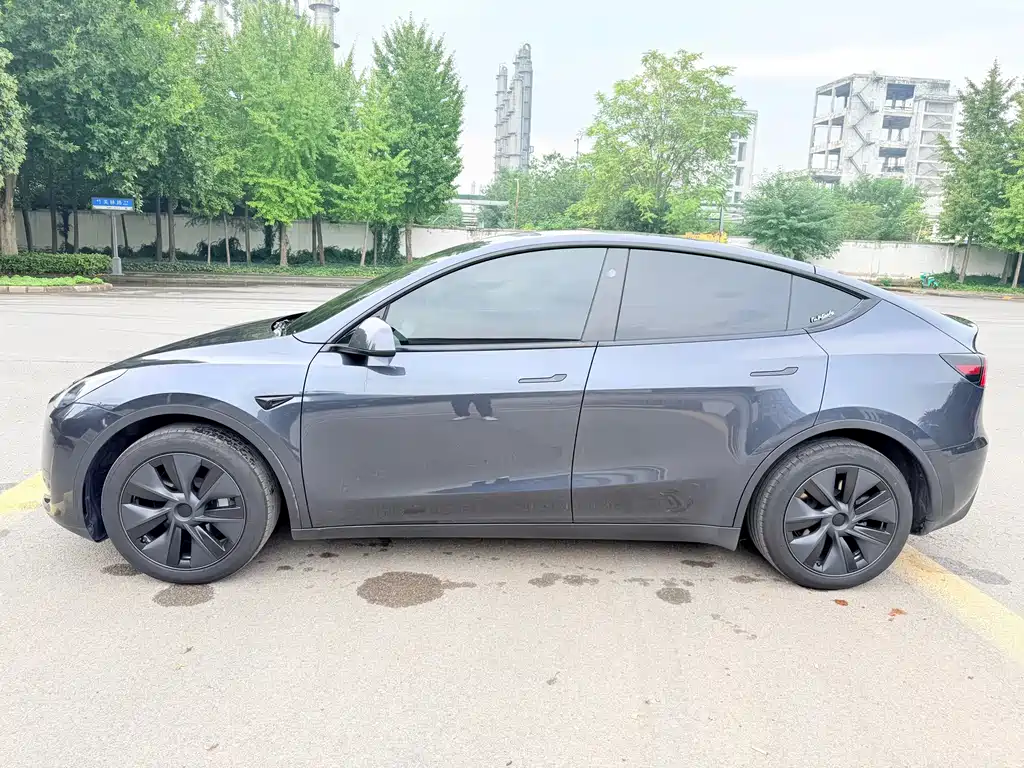 Tesla Model Y — миниатюра 4