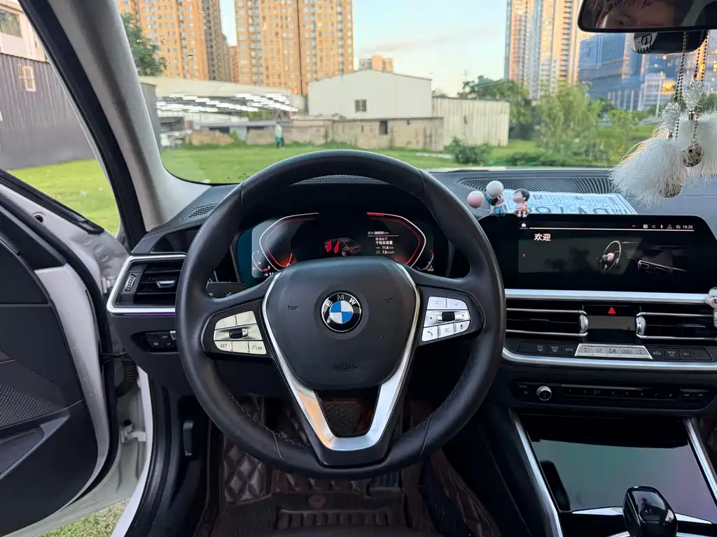 BMW 3 Series 3 2020 325Li
