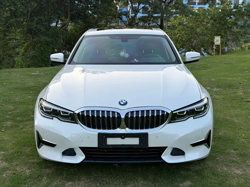BMW 3 Series 3 2020 325Li