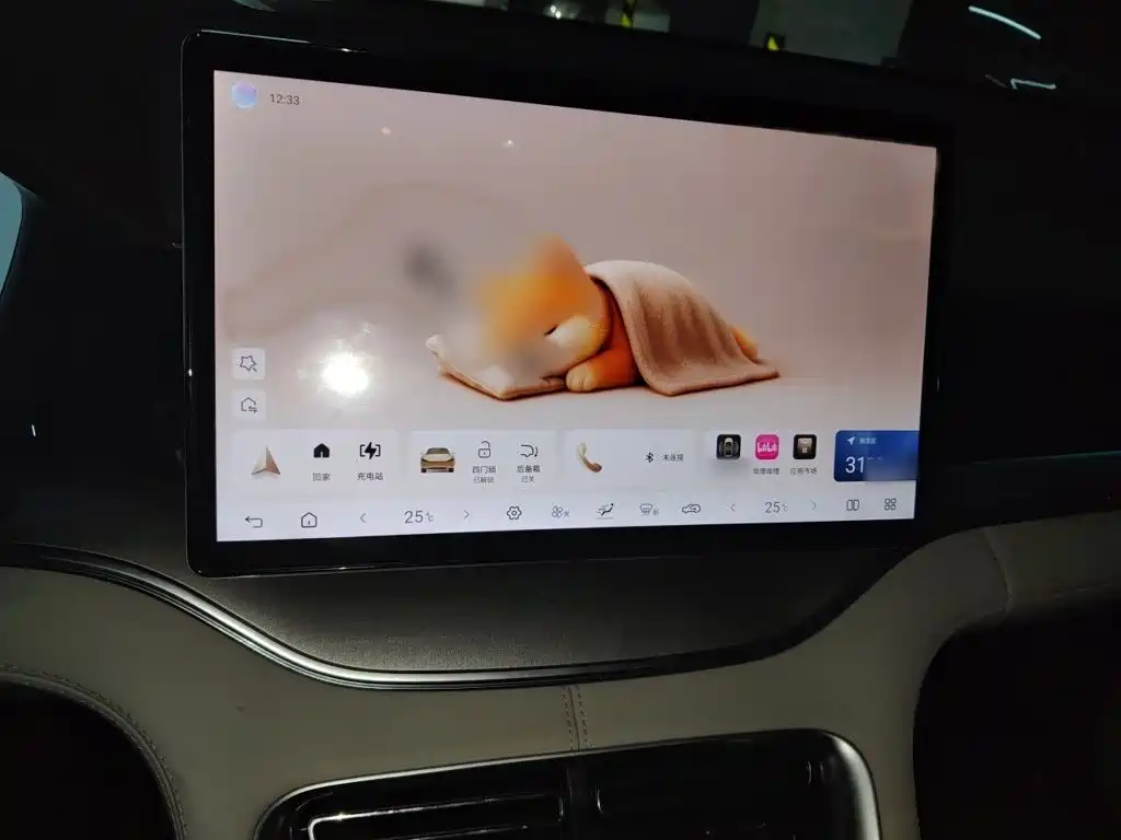 BYD PLUS New Energy — миниатюра 6