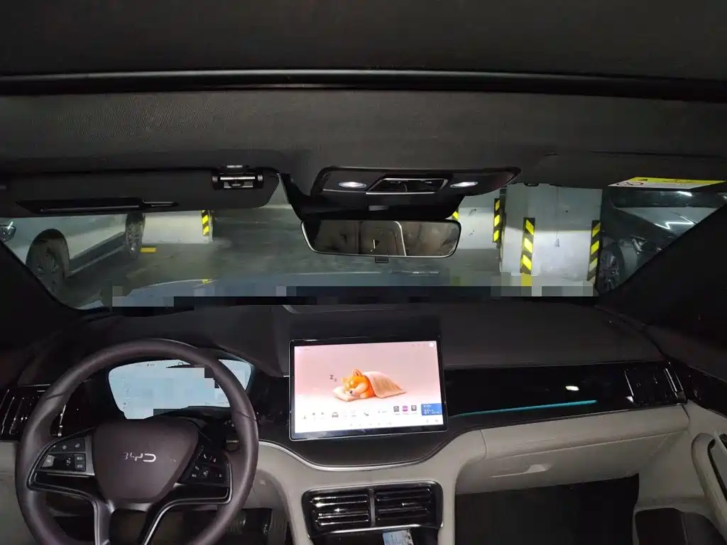 BYD PLUS New Energy — миниатюра 9