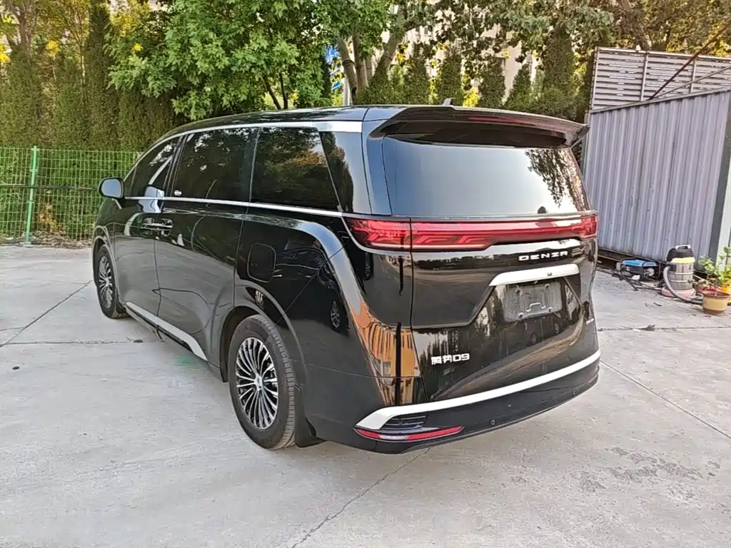 Denza Denza D9 — миниатюра 5