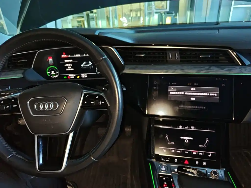 Audi e-tron (Import) — миниатюра 10
