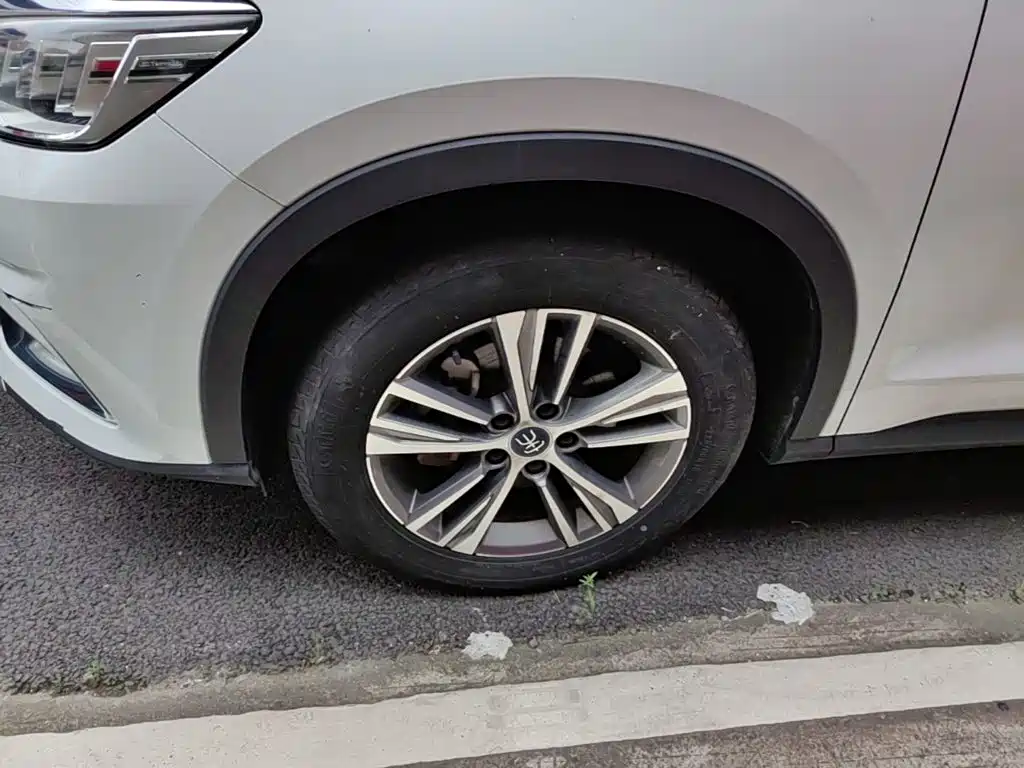BYD Pro — миниатюра 23