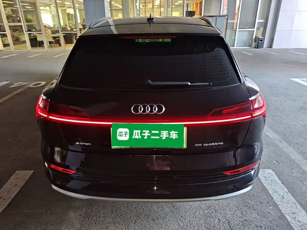 Audi e-tron (Import) — миниатюра 6