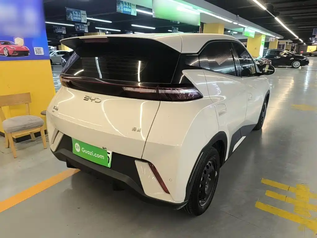 BYD Seagull 2024 305km