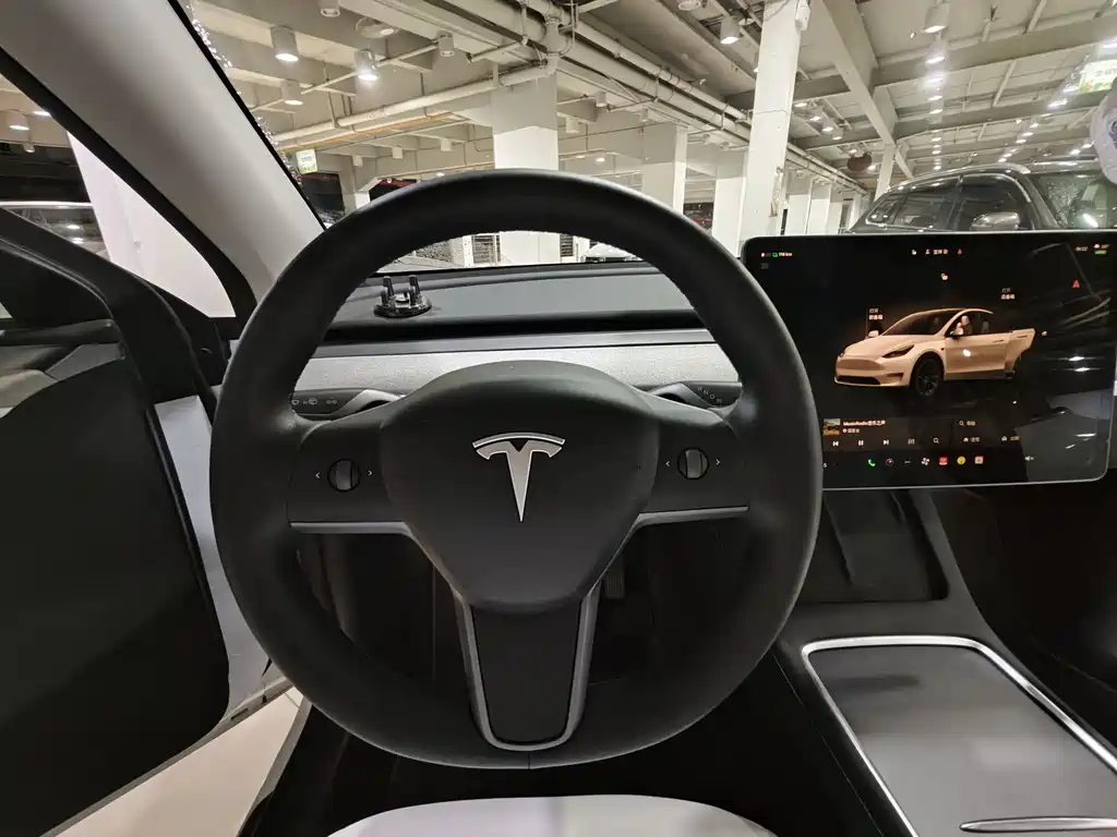 Tesla Model Y — фотографии объявления, Фото 14