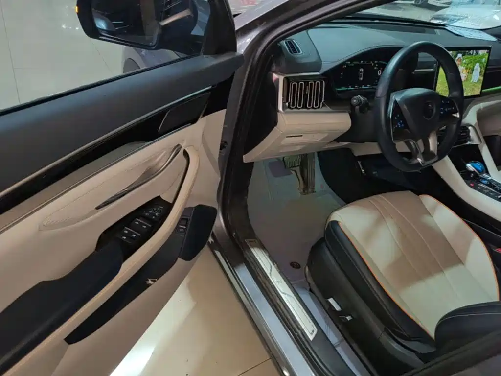 BYD PLUS New Energy — миниатюра 16