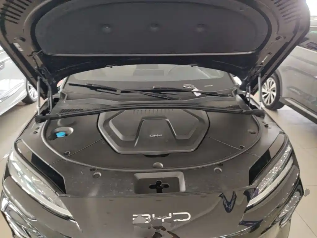 BYD PLUS New Energy — миниатюра 20