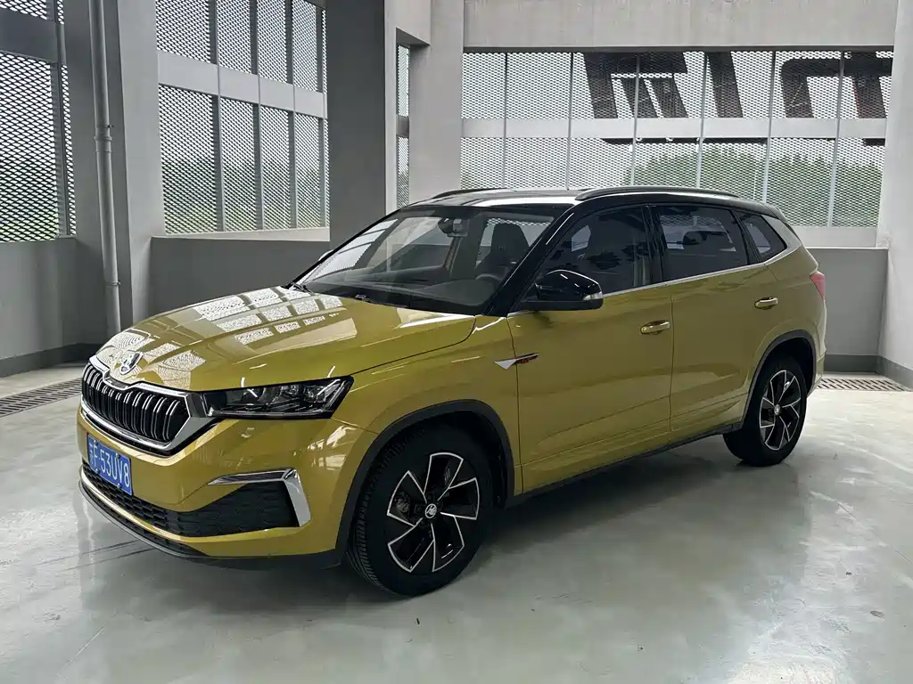 Купить Skoda Kamiq