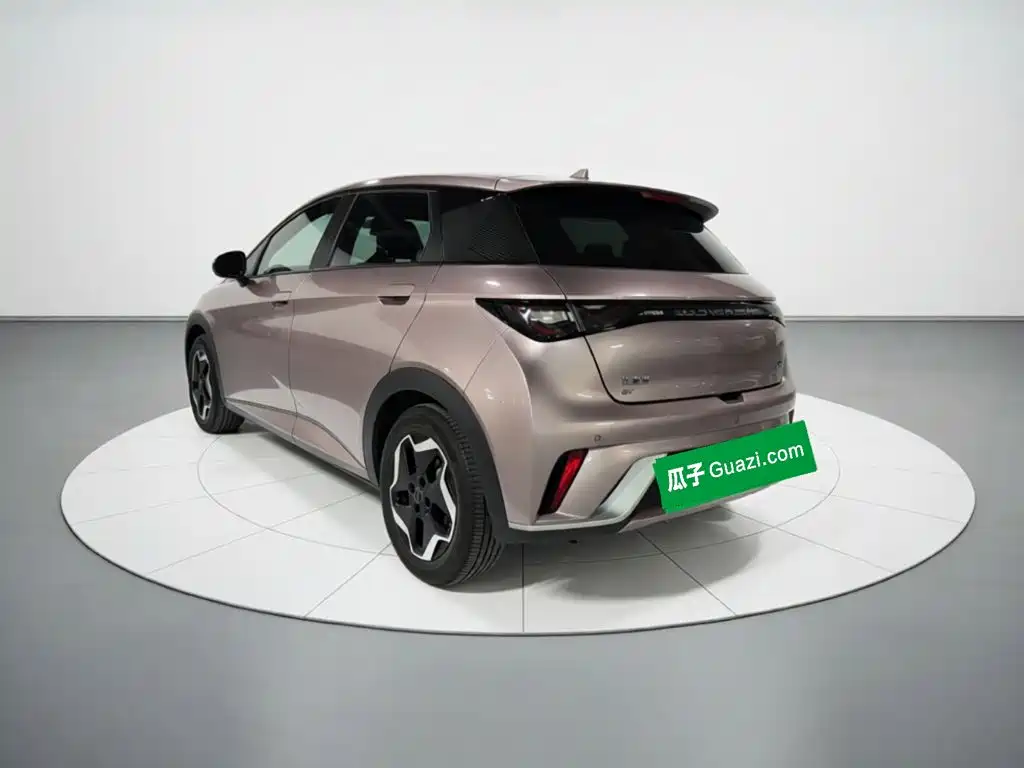 BYD Dolphin — миниатюра 4