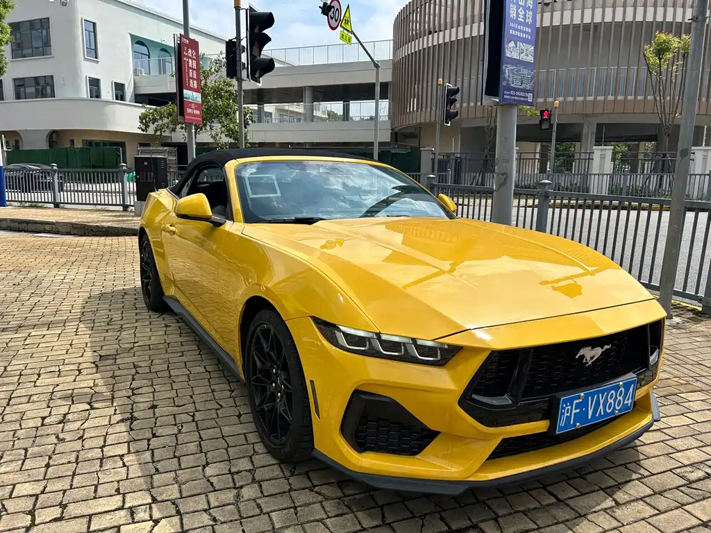 Ford Mustang — миниатюра 3