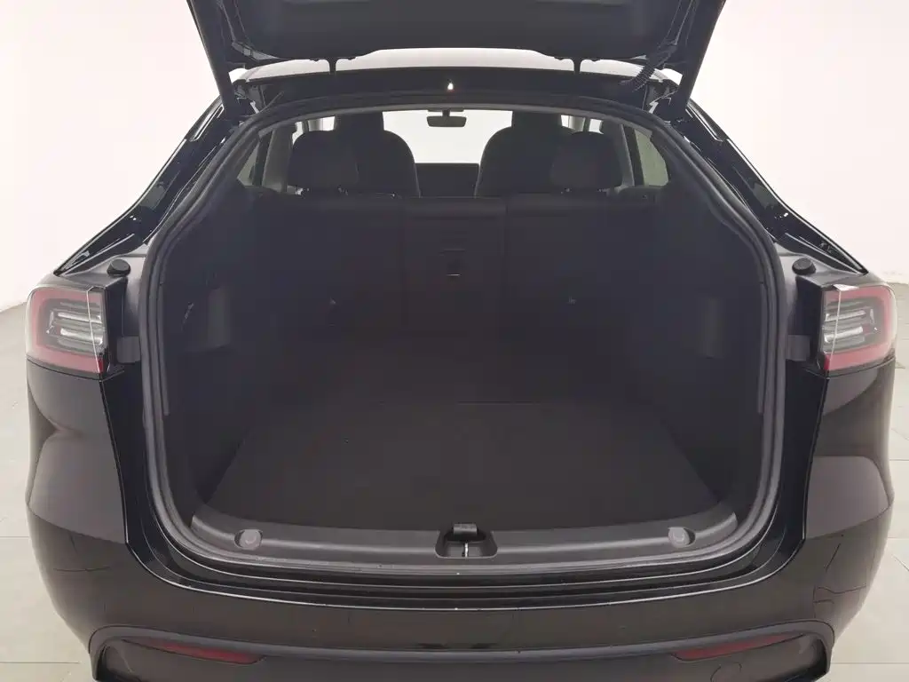 Tesla Model Y — миниатюра 16
