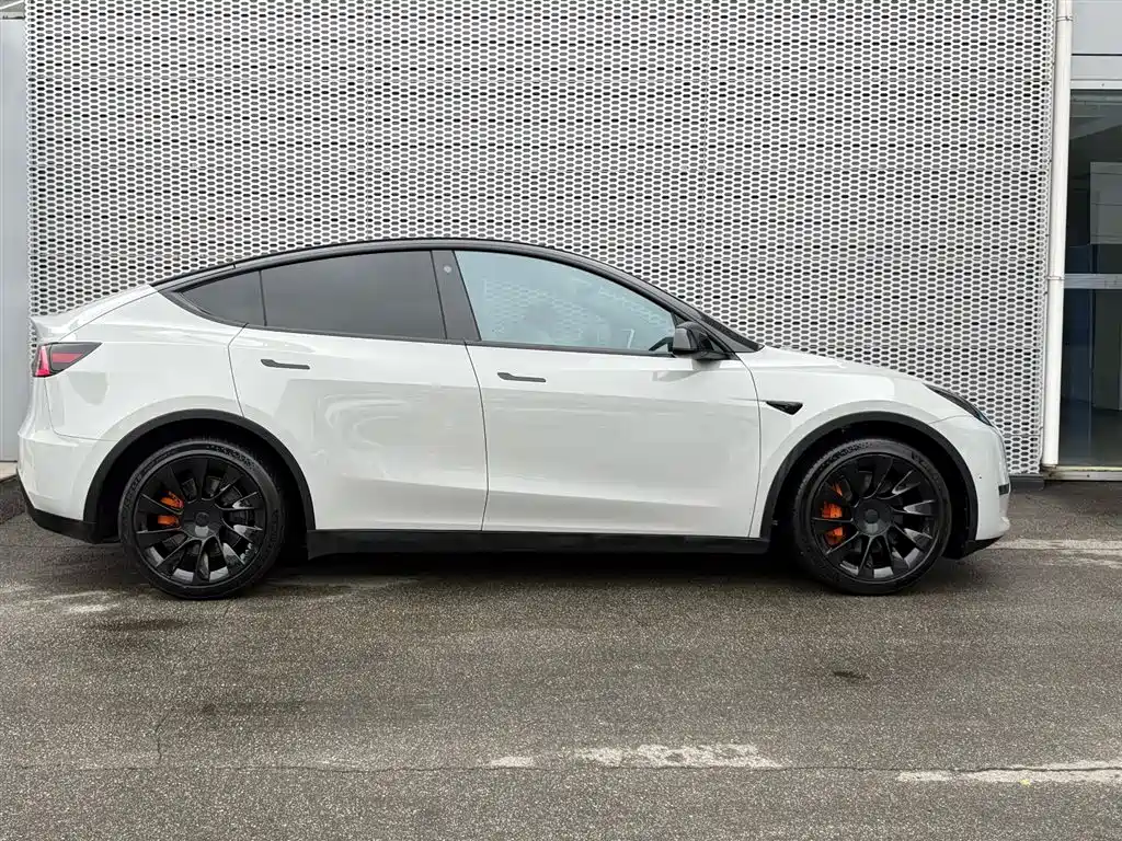 Tesla Model Y — миниатюра 3