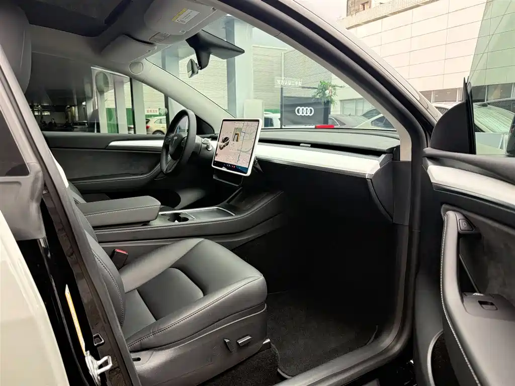 Tesla Model Y — миниатюра 16