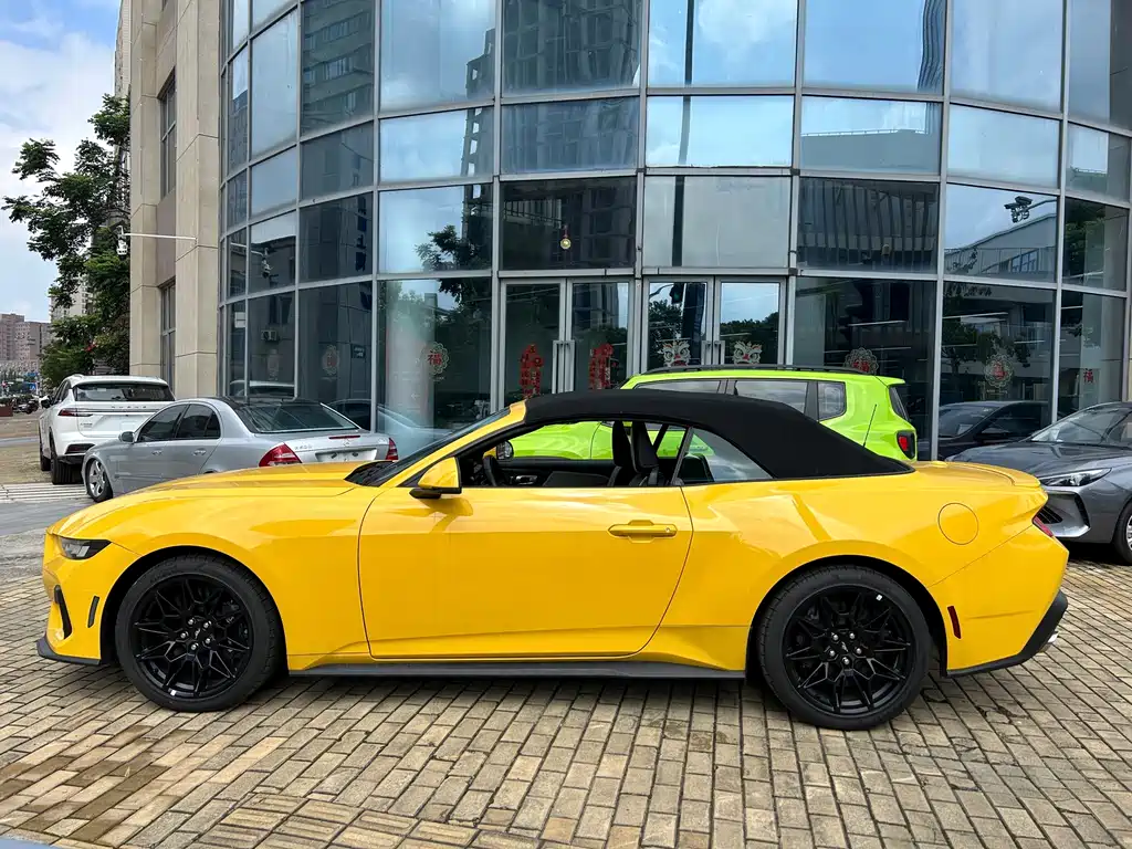 Ford Mustang — миниатюра 13