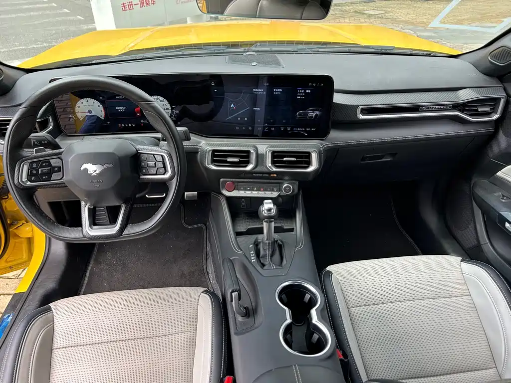 Ford Mustang — миниатюра 12