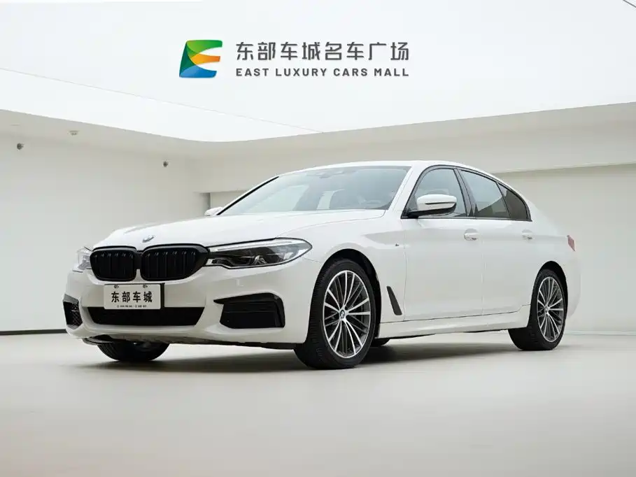 BMW 5 Series (Import)