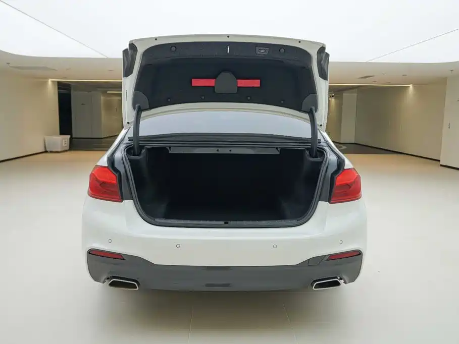 BMW 5 Series (Import) — миниатюра 6