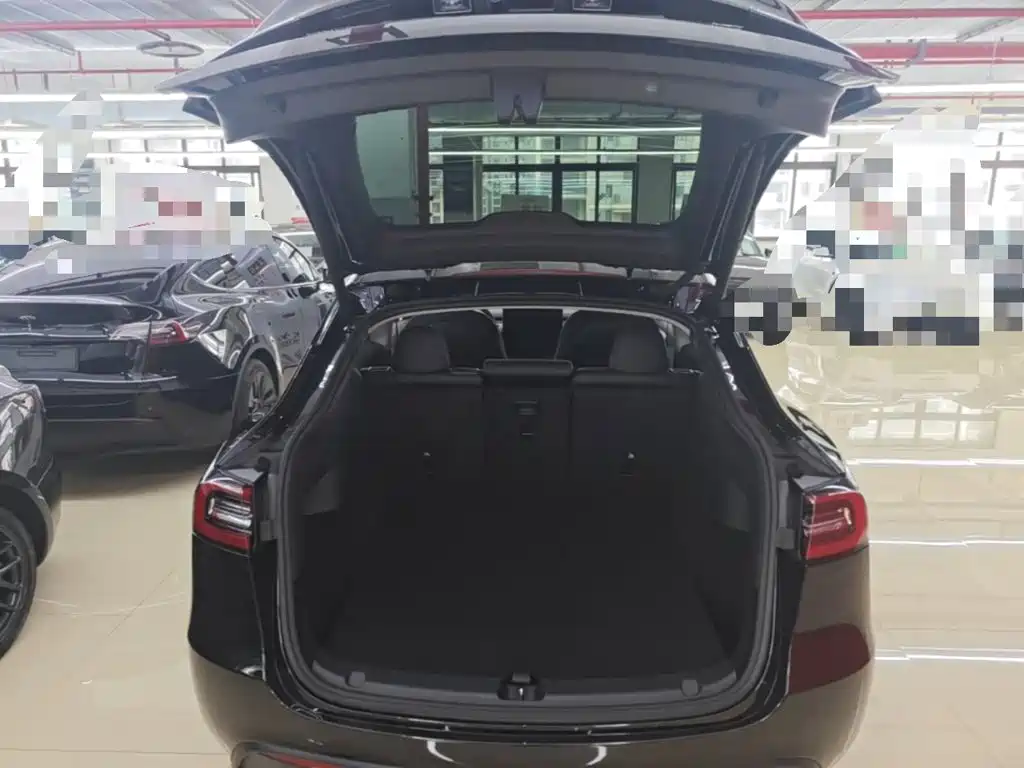Tesla Model Y — миниатюра 19