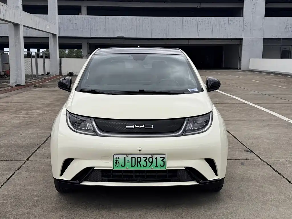 BYD Dolphin — миниатюра 2