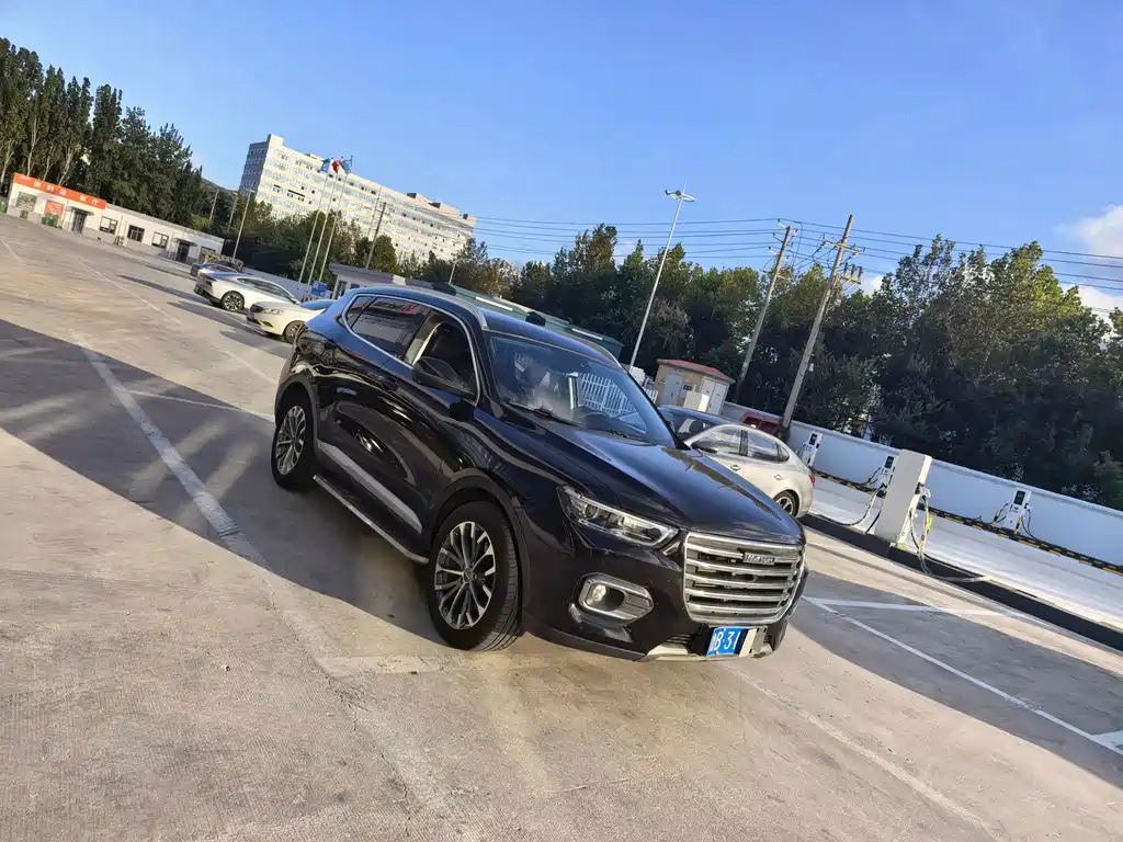 Haval H6 — миниатюра 7