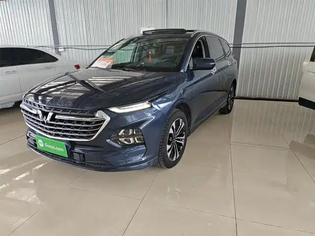2020 Wuling Motors Victory