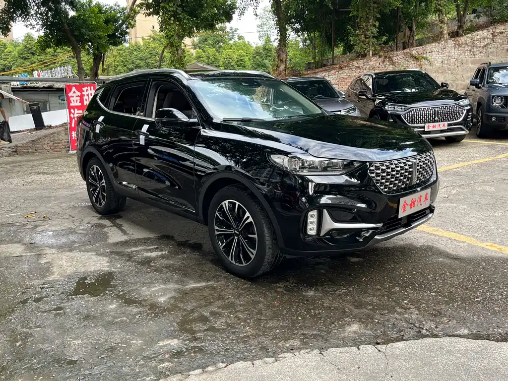 Wey Wey VV6 — миниатюра 7