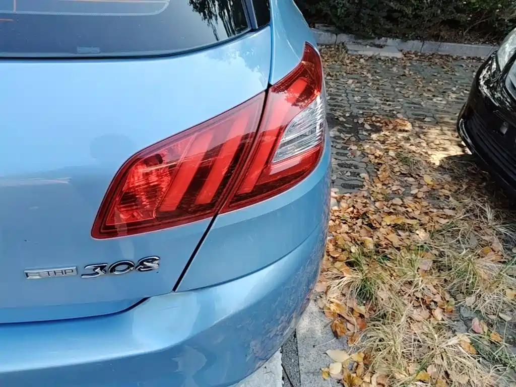 Peugeot 308S — миниатюра 24