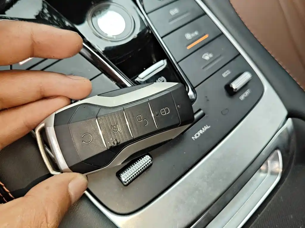 BYD PLUS — миниатюра 12