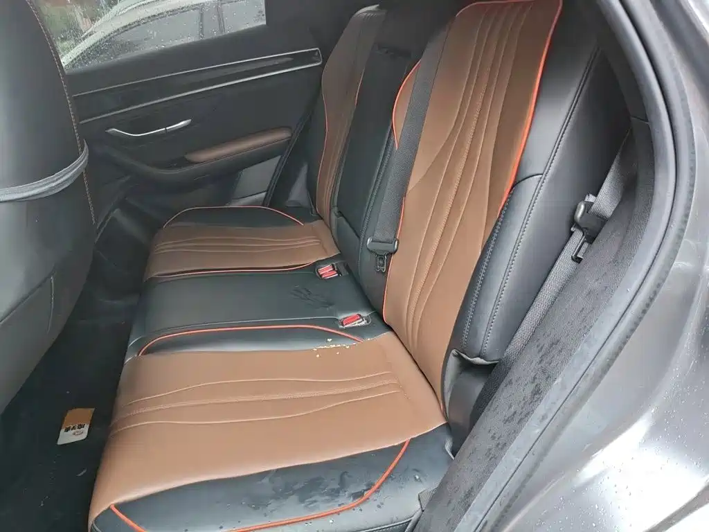 BYD PLUS — миниатюра 15