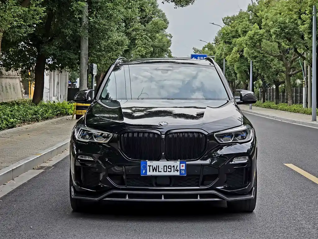 BMW X5 (Import) — миниатюра 2