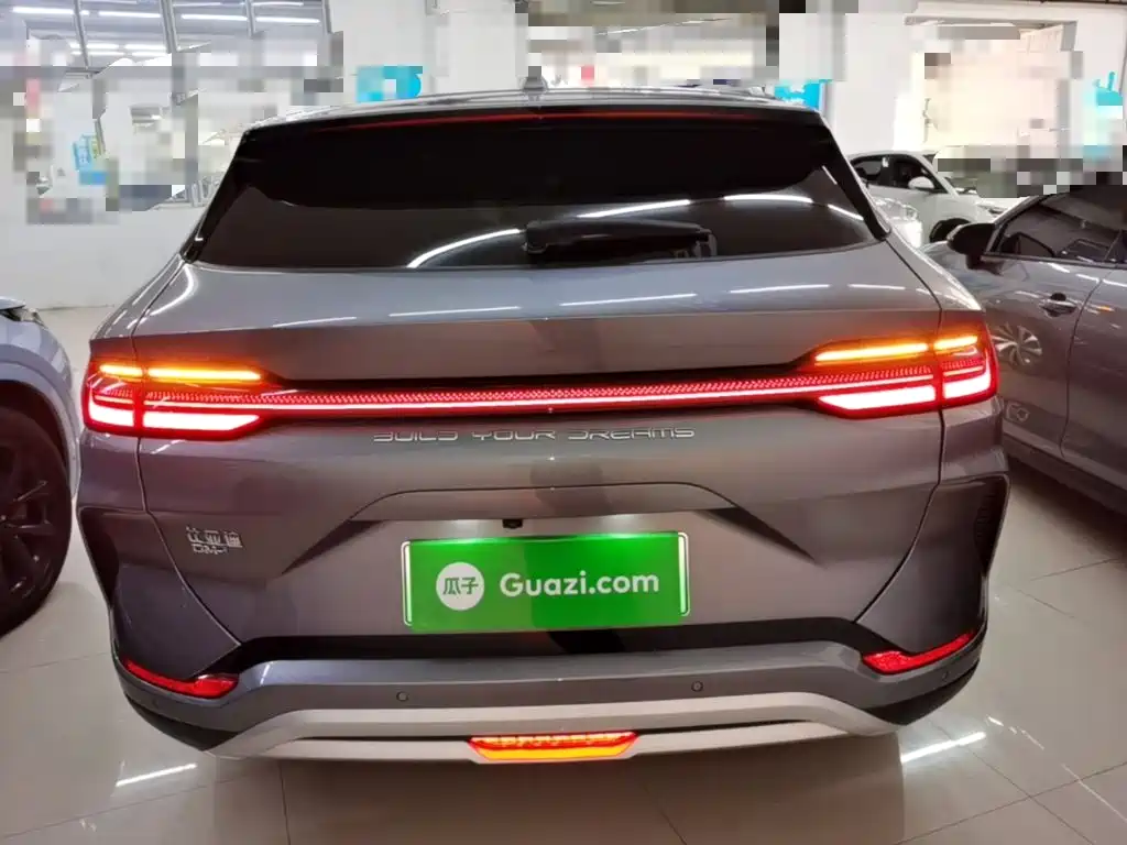 BYD PLUS New Energy — миниатюра 6