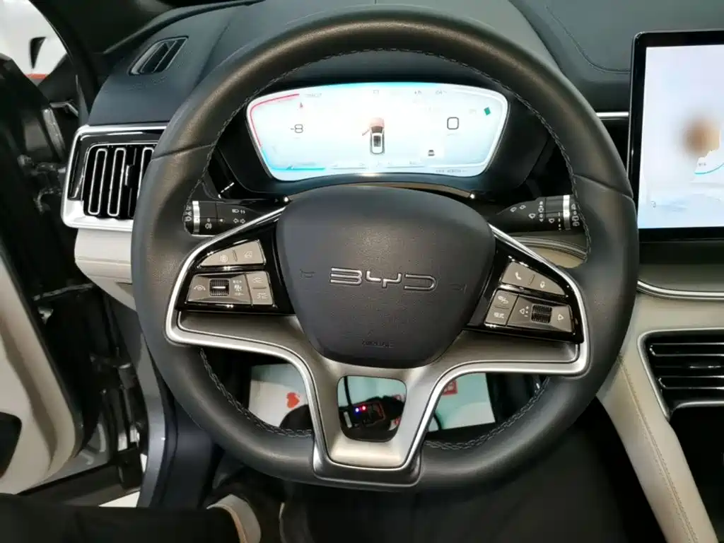 BYD PLUS New Energy — миниатюра 11