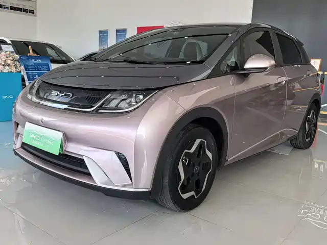BYD Dolphin