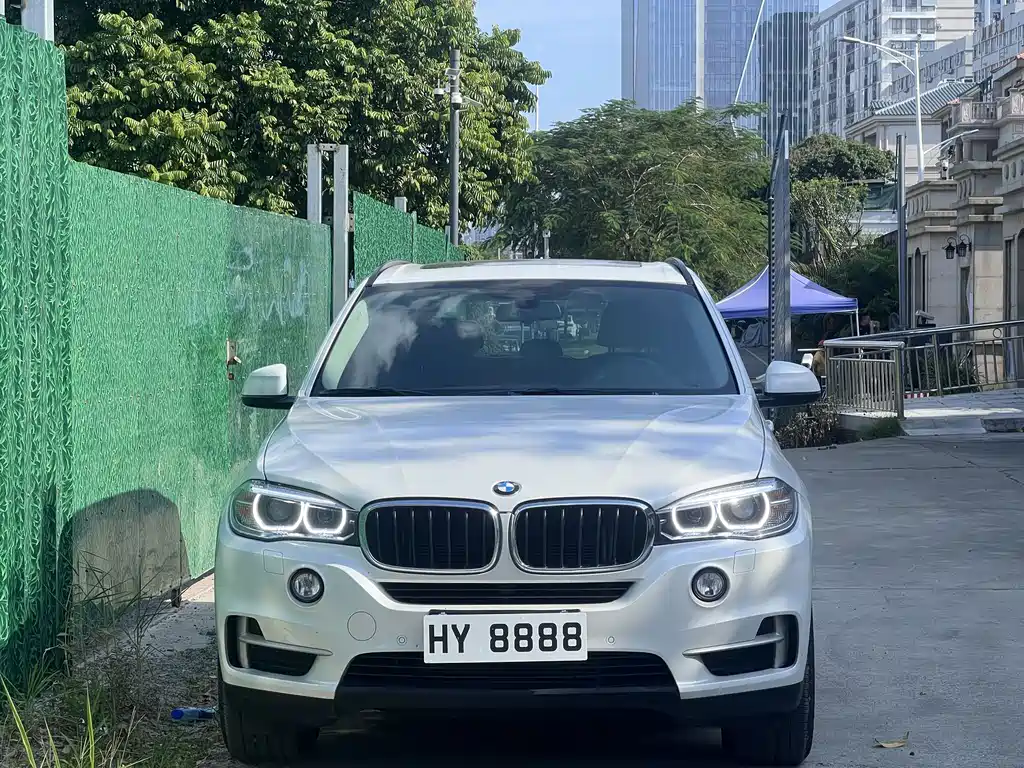 BMW X5 (Import) — миниатюра 2
