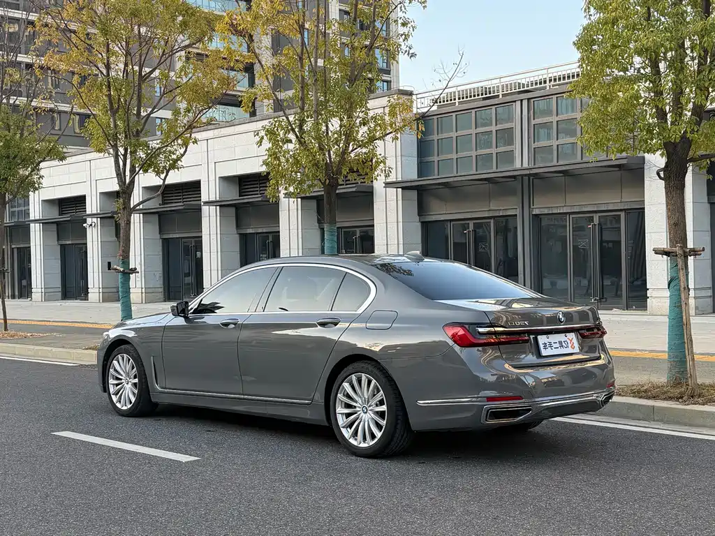 BMW 7 Series 7 2019 730Li Luxury