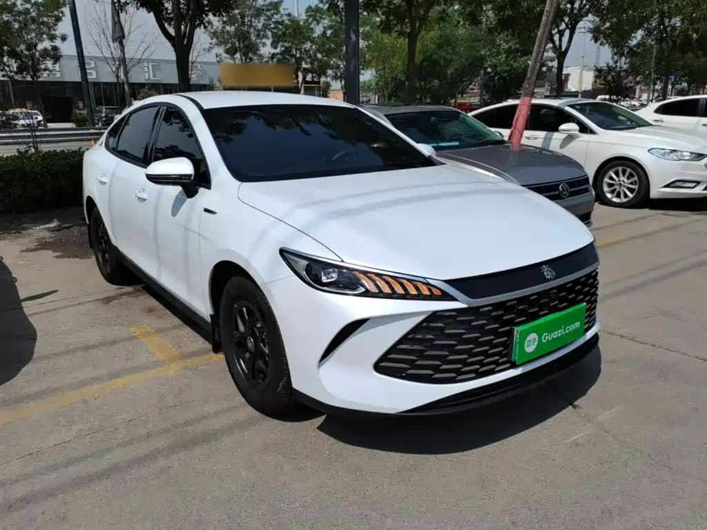 BYD Qin Plus PLUS 2025 DM-i Smart Drive 55KM Lead