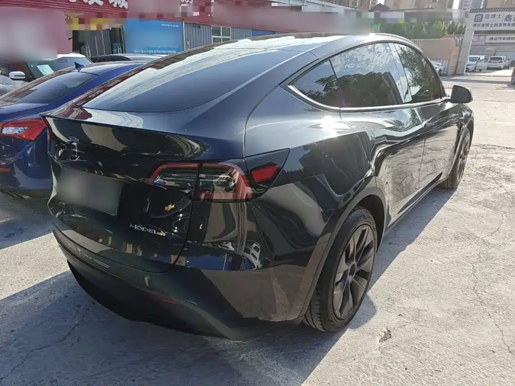 Tesla Model Y — миниатюра 7