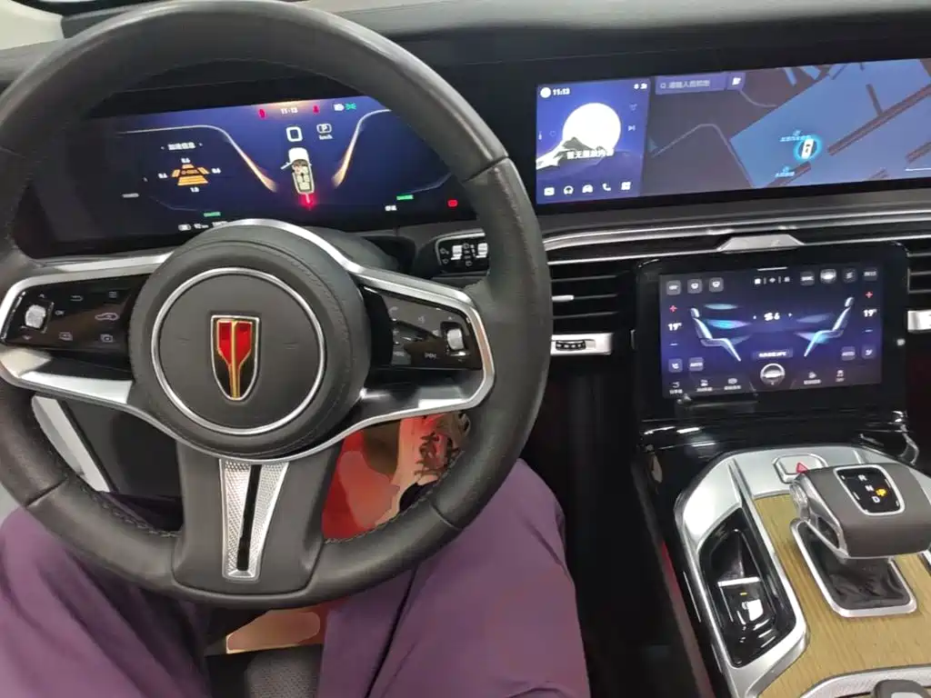Hongqi Hongqi E-HS9 — миниатюра 10