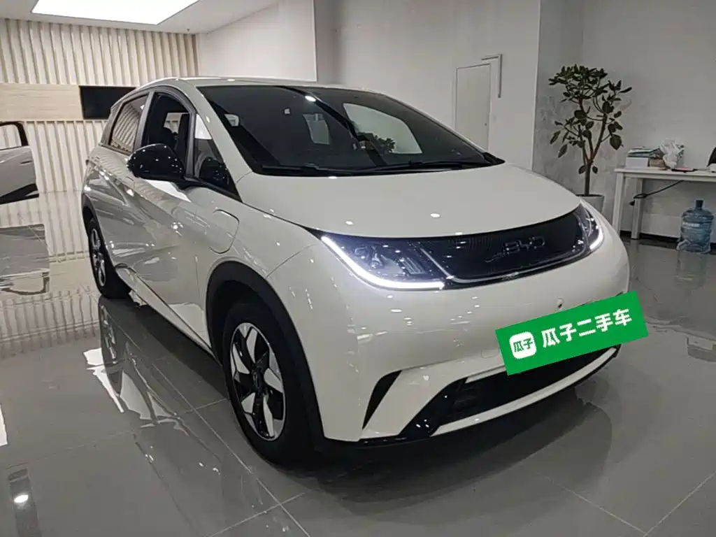 BYD Dolphin — миниатюра 4