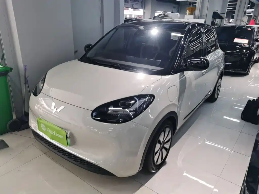 Wuling Binguo 2023 333km