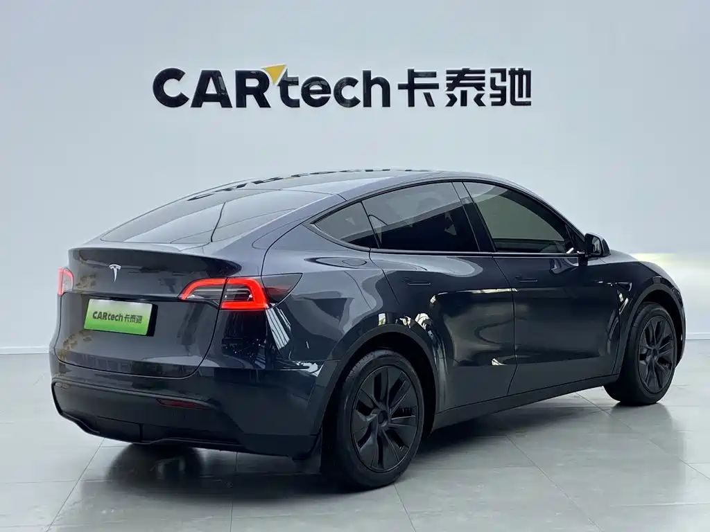 Tesla Model Y — миниатюра 3