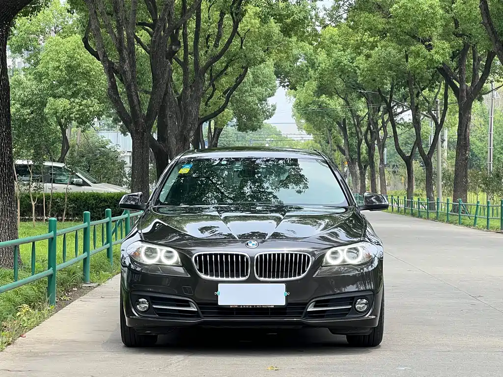 BMW 5 Series 5 2014 525Li Lead