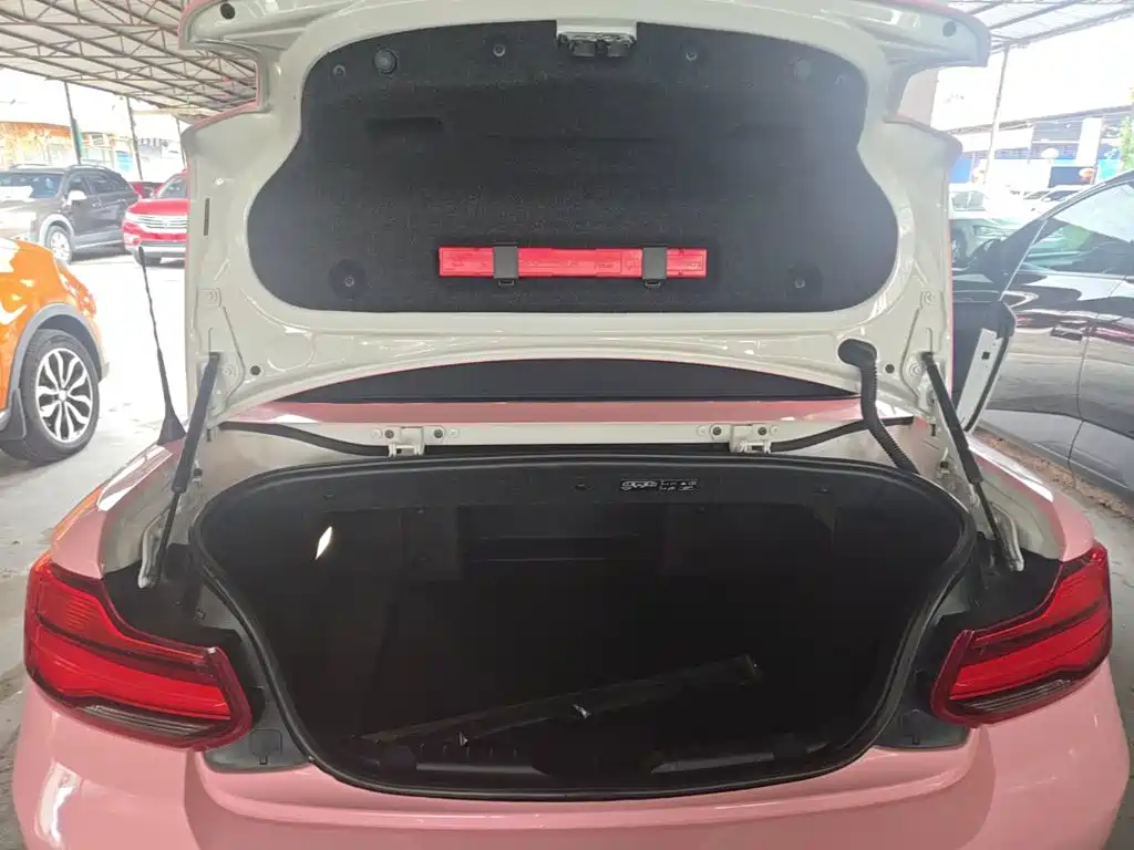 BMW 2 Series (Import) — миниатюра 19