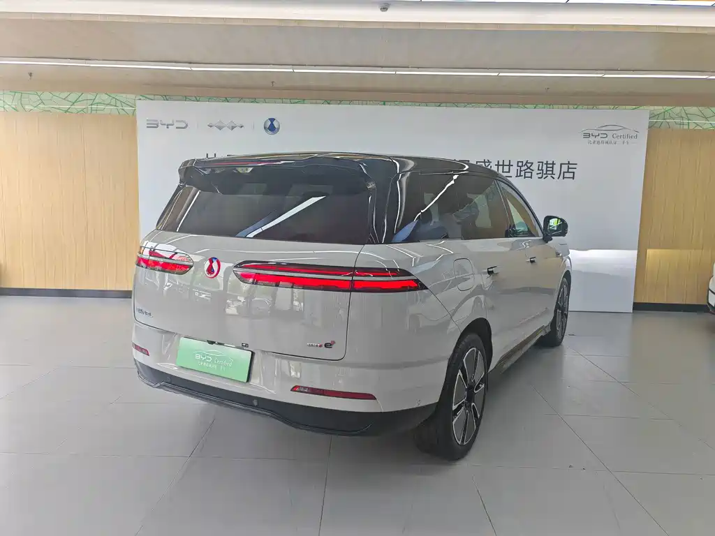 Denza Denza N8L — миниатюра 5