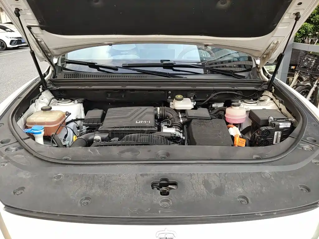 BYD Pro New Energy — миниатюра 11